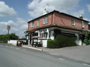 Гостиница Mucky Duck Inn  Раджвик